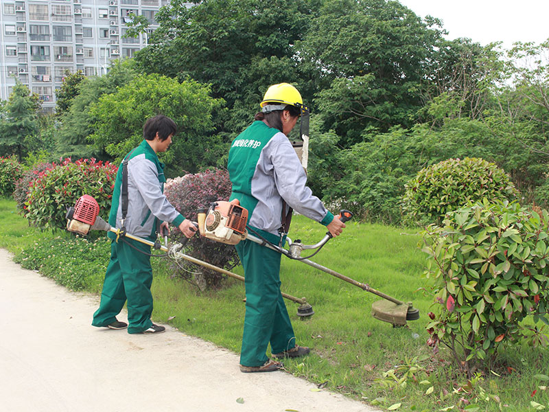 這(zhè)是描述信息